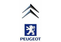 Citroen Peugeot Throttle Body Kits